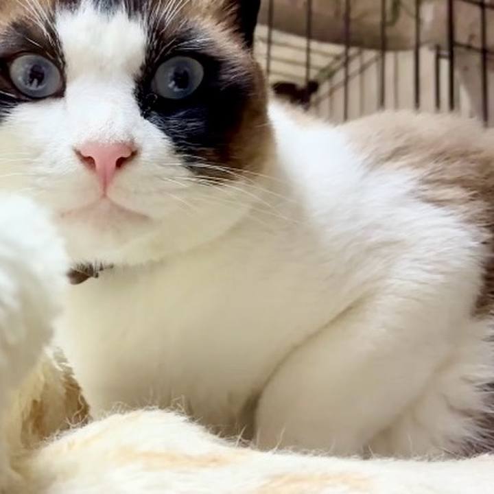 Ded1e7e5 fbcb 479d afb3 a1b5cf1884ed 1751285789971