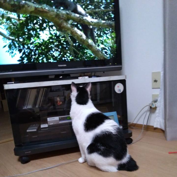 Ded1f0eb 324d 4b68 a6ed 5a82178f7c26 1533738611070