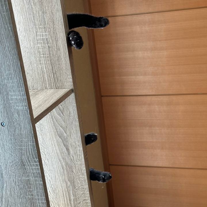 Ded24945 1e5e 4b64 980e d91cfabc40c3 1721441022964