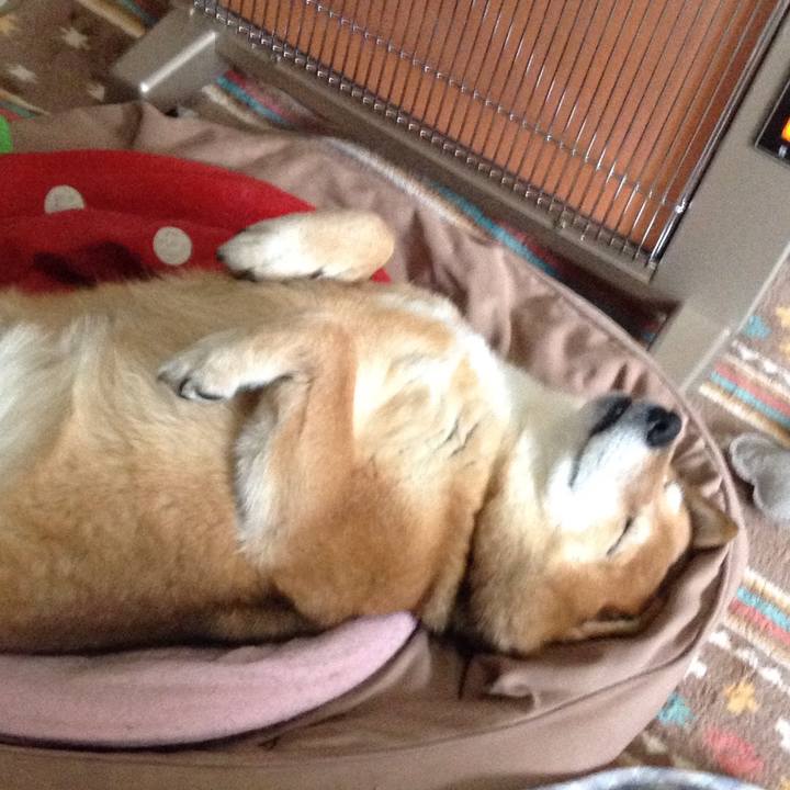 Ded26f42 848a 4bae a9f5 59785fd13be0 1548657670212