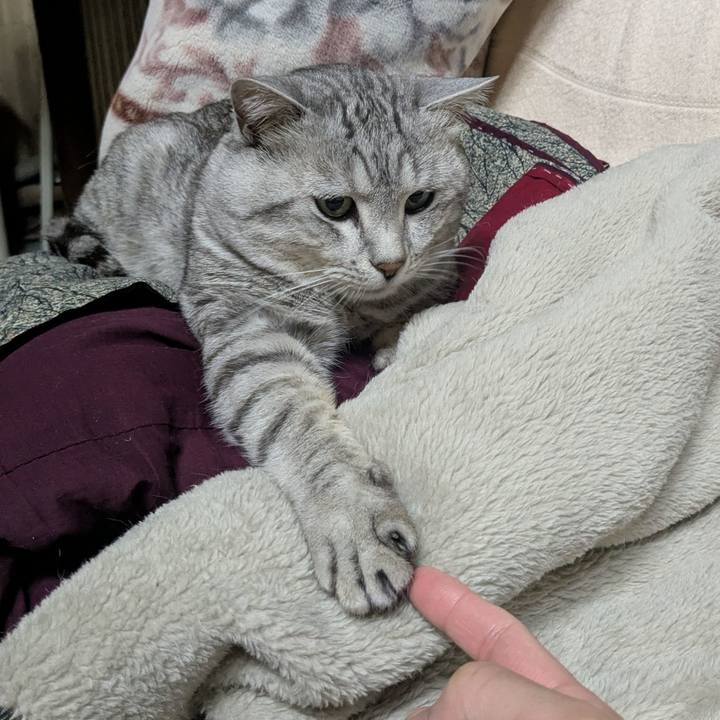 Ded29c9a d44f 4b71 a467 9a03fd269b3d 1741773182393