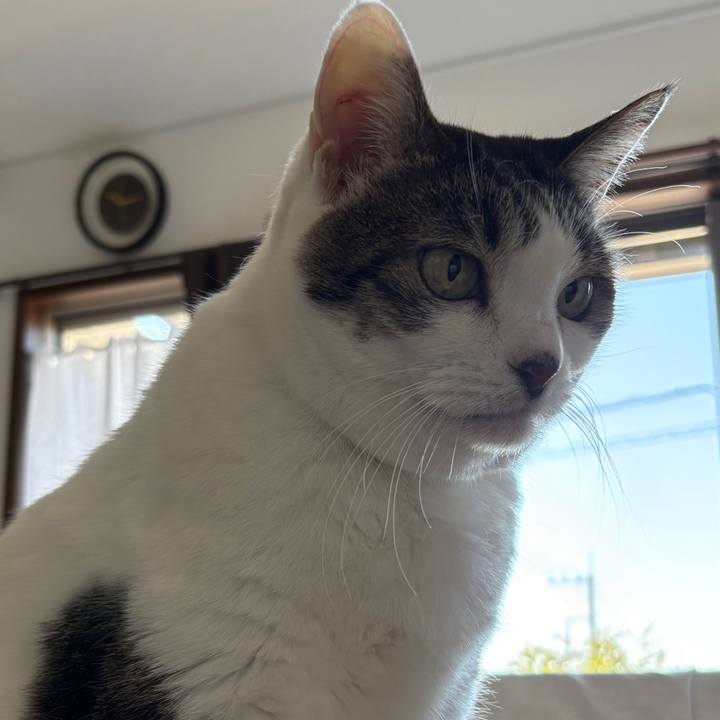 Ded29ee5 2bc5 490f a777 259c959b4764 1771636428124