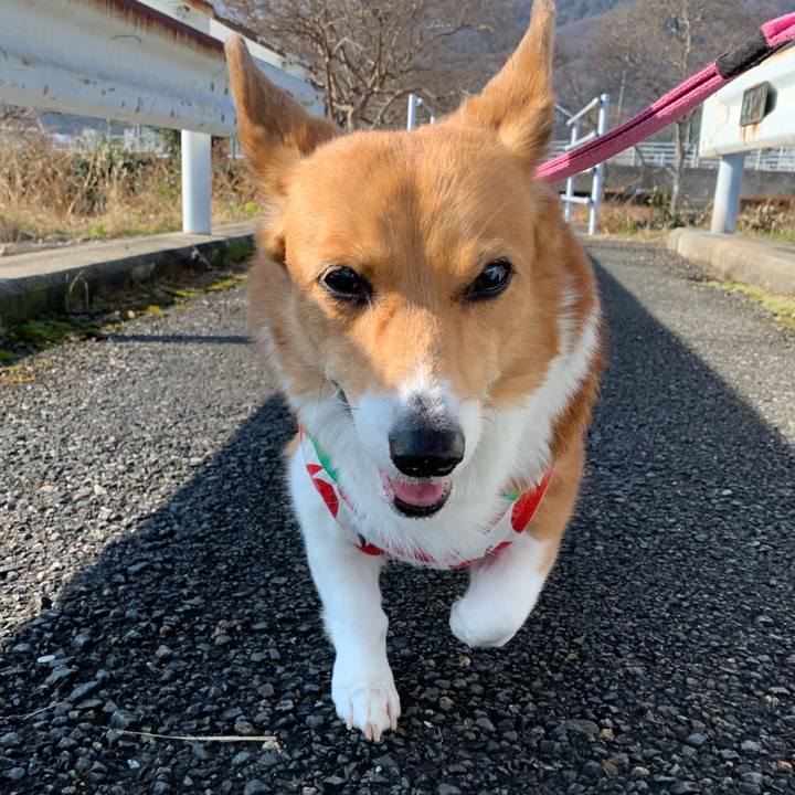 Ded2a004 2bce 4ee5 bd6a 2446fe603ba1 1703998261906