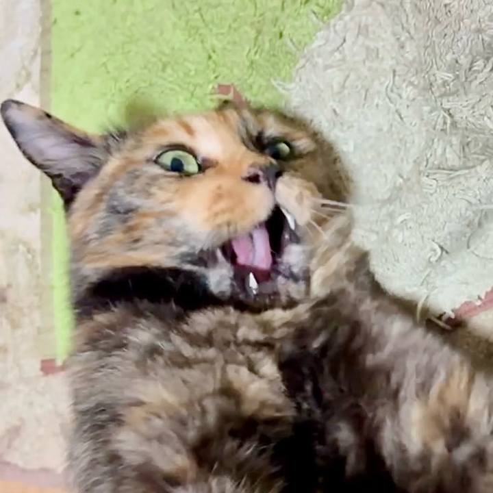 Ded2cb2c a209 4286 a132 e989111754e7 1751057118113