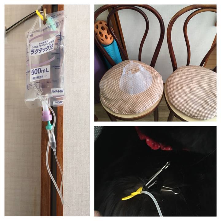 Ded2e7e2 d53f 42eb 8a67 3ee1bd846126 1551766979686