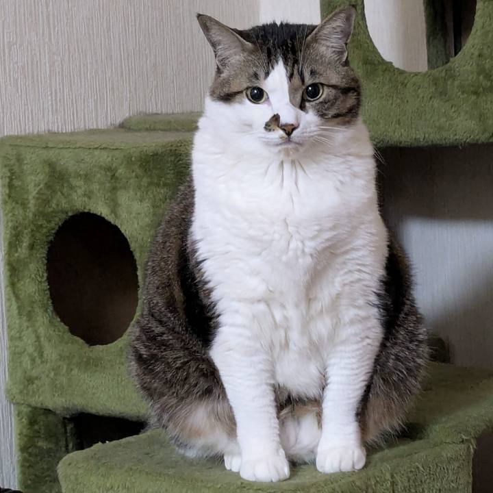 Ded312d3 9806 4473 b9ae 022729dfb174 1737408306876