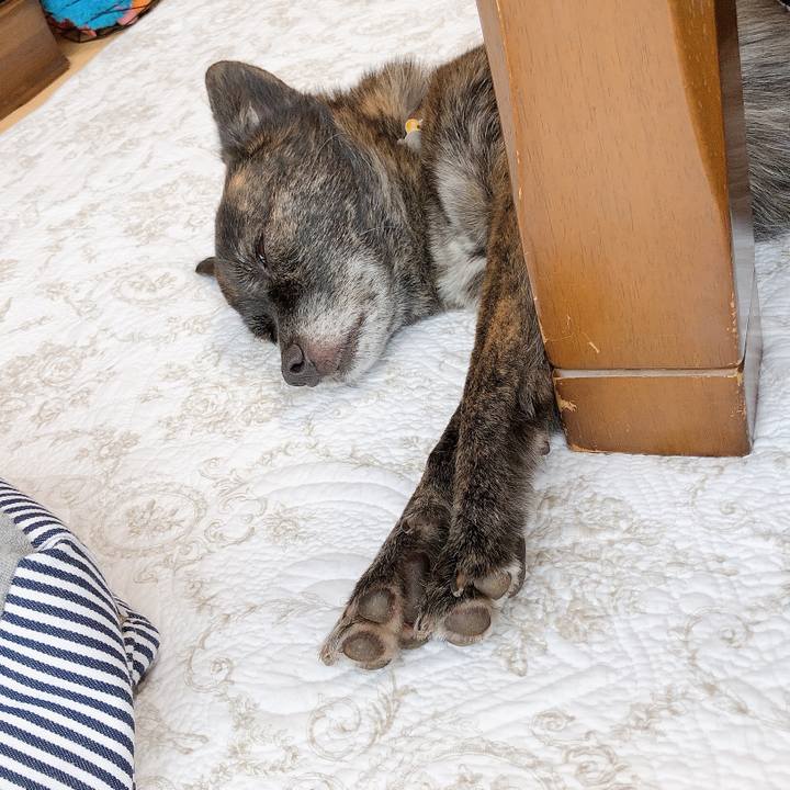 Ded3246e e336 438e ace5 176b5188c235 1566266094005