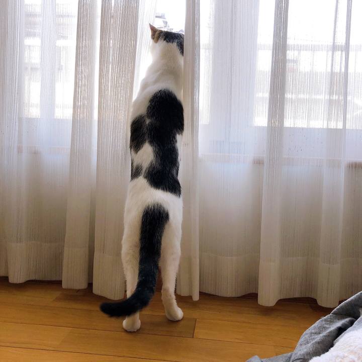 Ded3447c 0793 4ab8 8943 5a62509ba823 1619524885888