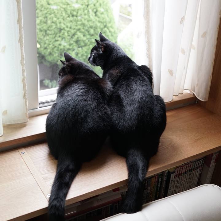 Ded34852 4a4a 426a 8cdf 93718a740bb5 1563197874078