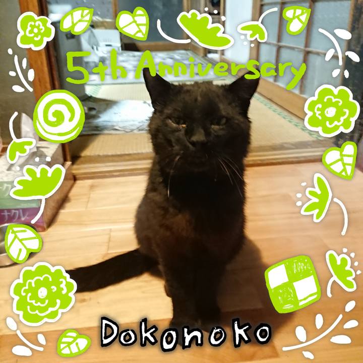 Ded34f99 f4da 4650 bf4f 67d2ea398cfd 1622889024988