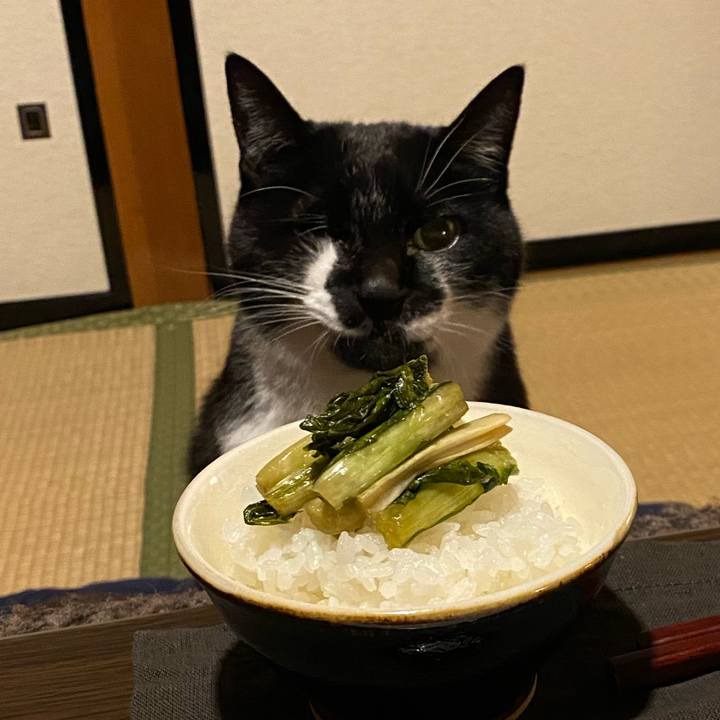 Ded357c9 a1cb 4f5a a5fa 15dc4c2c5a34 1670676317296