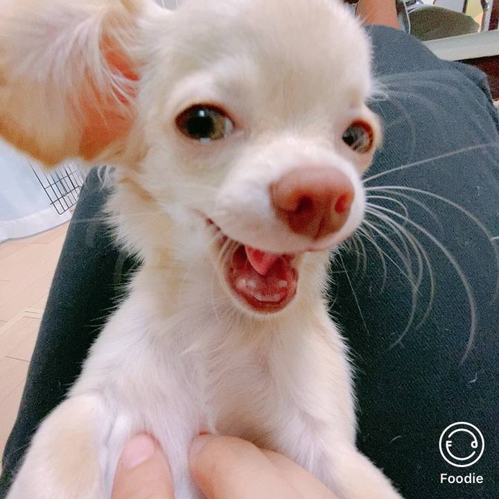 Ded37018 3afd 4f70 b6e2 61cd7b72765b 1598307545069