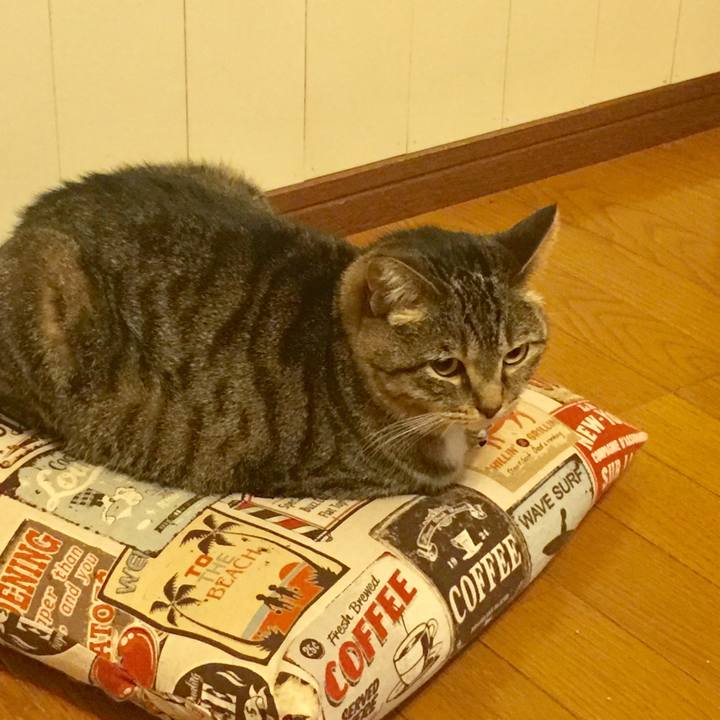 Ded39d5f b294 4273 9ab3 0d3565480bee 1559392487550