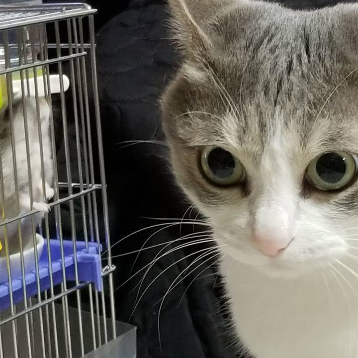 Ded39ed7 a1ca 42ea bbda ebc997f55637 1522159323156