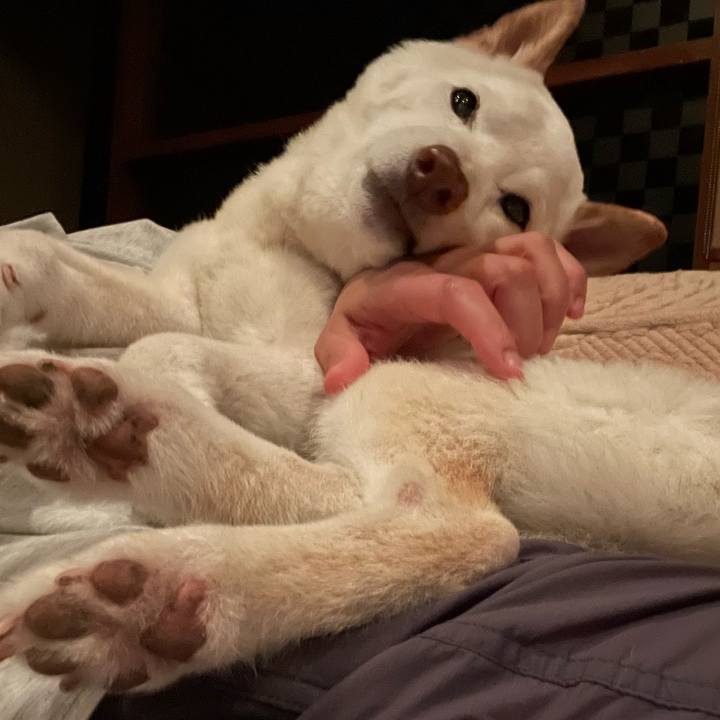 Ded3a3c7 7cb5 4c9d 9345 4dac113a1972 1652622647227