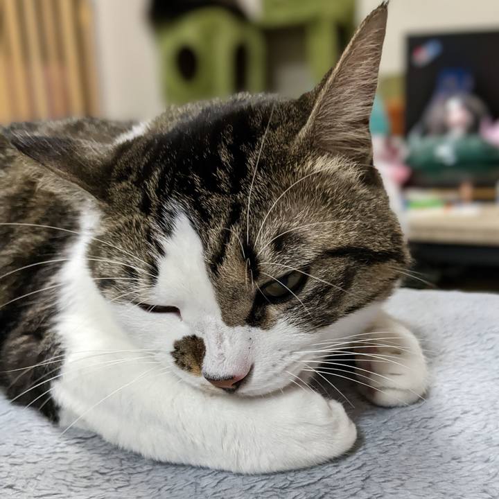 Ded3acda 8c33 473a 895e 4f891b734578 1669023280040