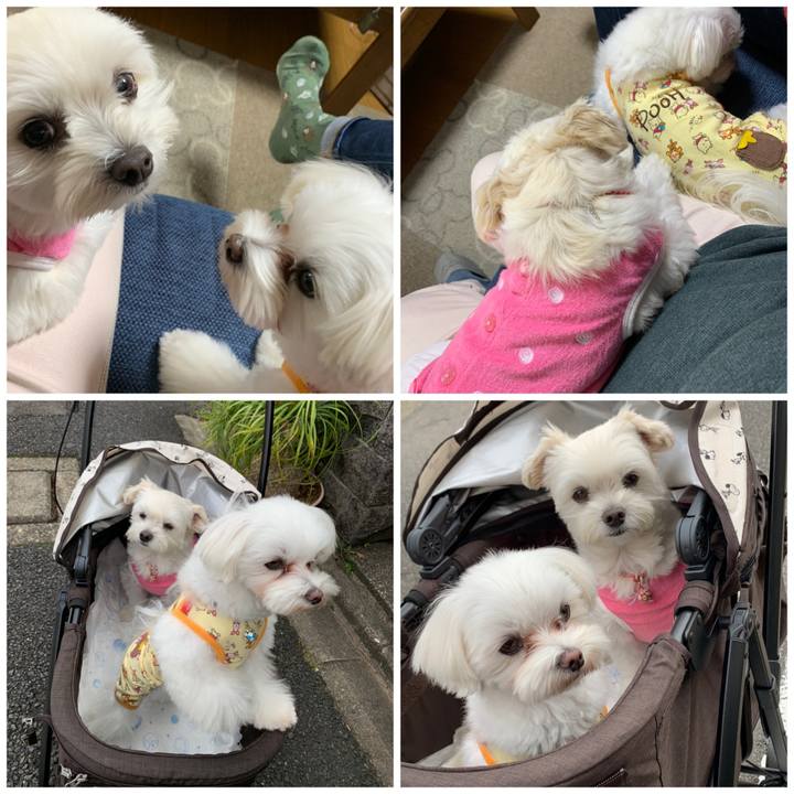 Ded3c087 8d92 4a14 9052 fa2b07d323e2 1604659702978