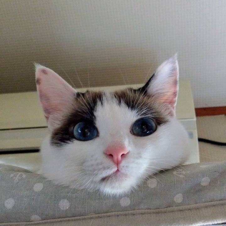 Ded3ccff dde1 4201 a419 3c5d6908a657 1573952143858