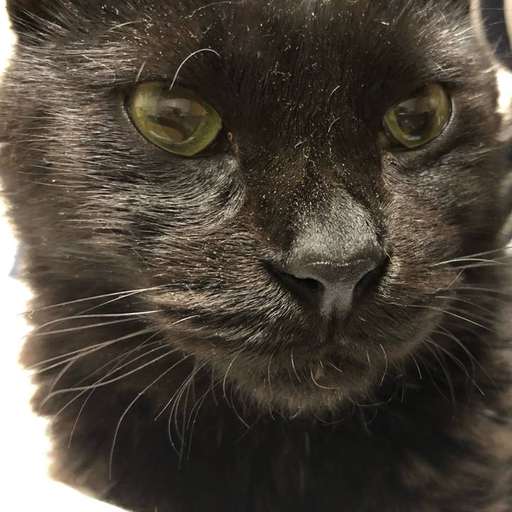 Ded3d201 65cc 4a80 83ac abf6329a035d 1583410518329