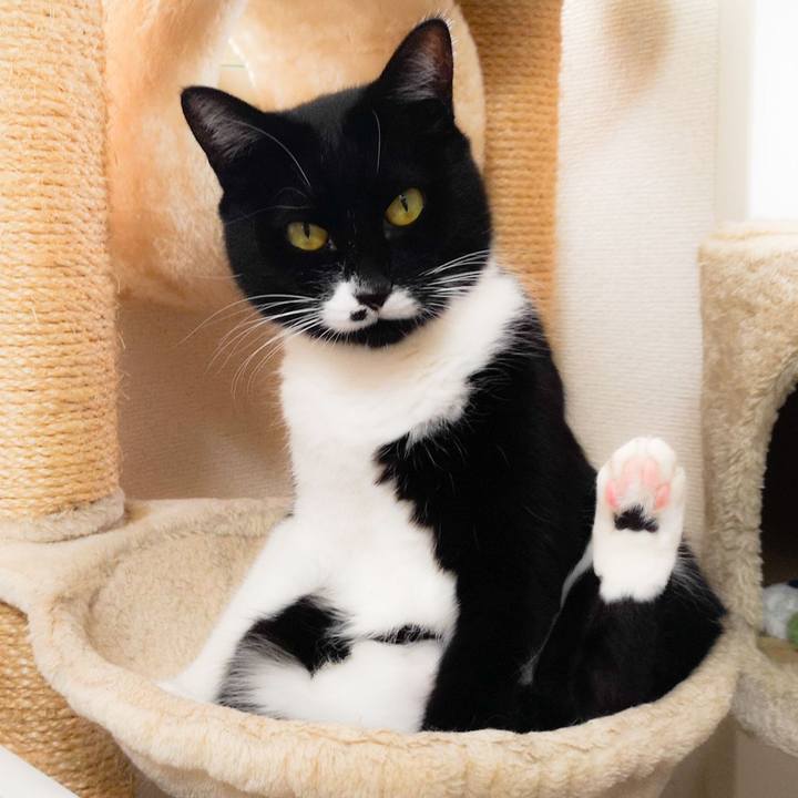 Ded3d4c7 056a 49c8 aed1 bb70e67aa3e7 1552968463210