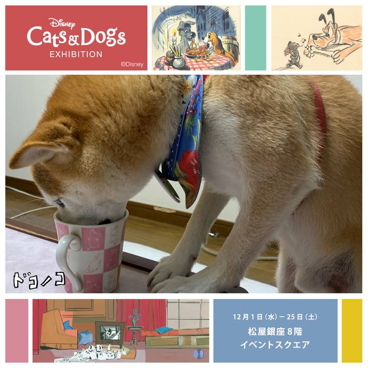 Ded3db07 a0fd 4c3a 8eb3 3121b1b9d96b 1638785746220