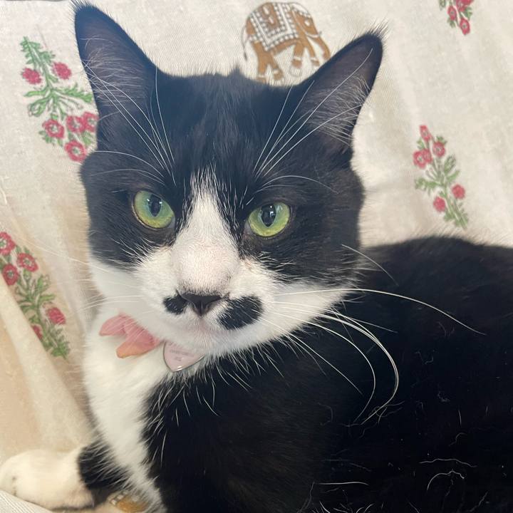 Ded3e6cd af20 48fa 99a1 1c4f6374c1d1 1754863526513