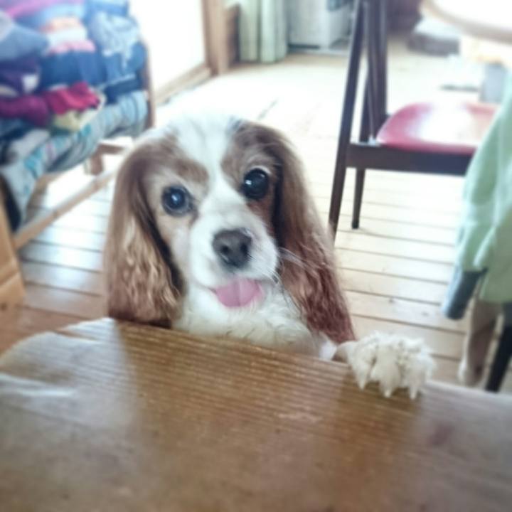 Ded3ef5c bb27 4d7f bdff e871ddaaea89 1517015031204