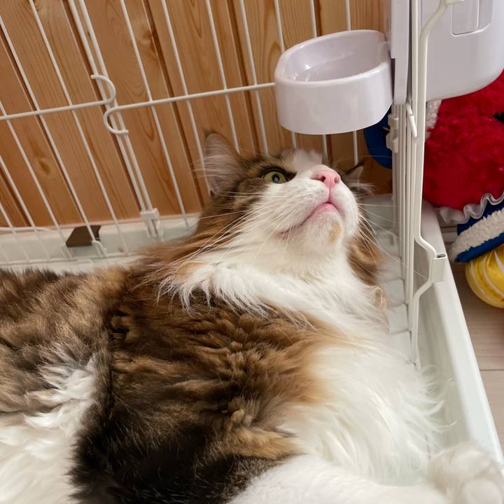 Ded410ba bd09 4bae ad04 3c81a8ace0b6 1693433546534