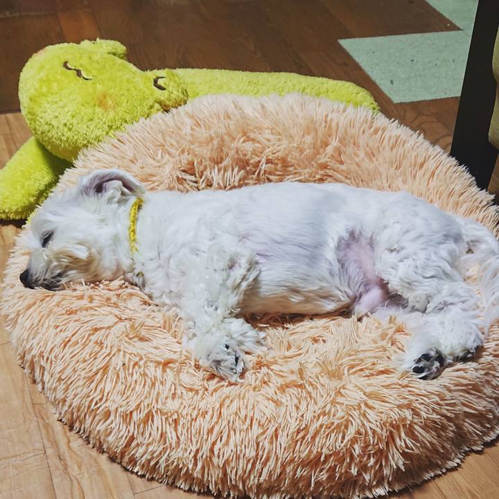 Ded44393 c1db 4e1c aba3 14bc05d3d4ba 1614865935472