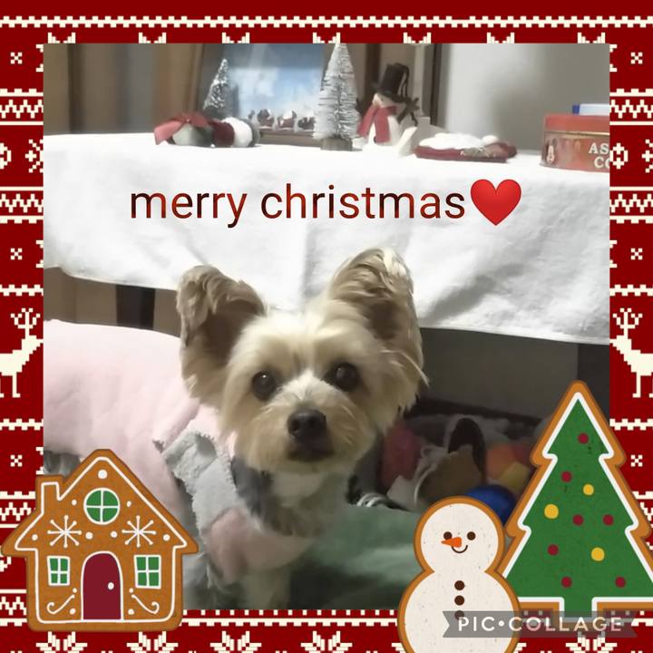 Ded451d2 b369 478a ac5a 30b090948fd4 1703506984758