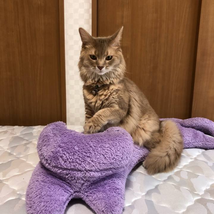 Ded45279 d002 4dfb 9f9b 2941ffdb1c2b 1626166657437