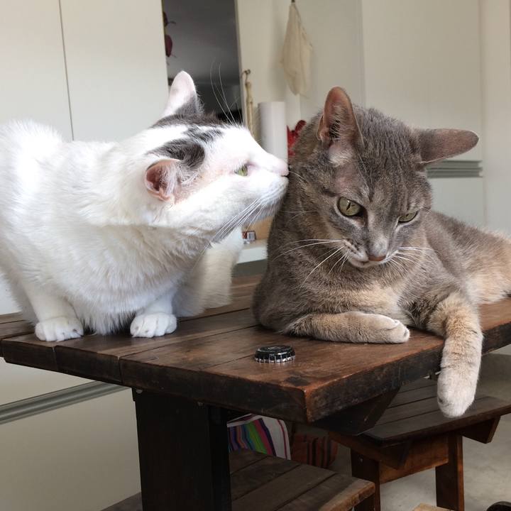 Ded47299 273d 4653 906f 6def50847b6a 1508693363667