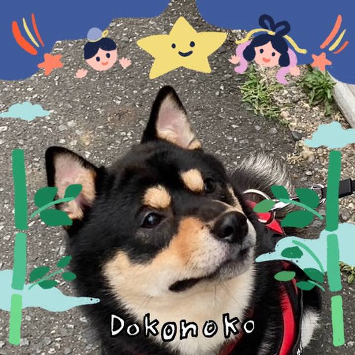 Ded48f77 4b0e 4f3c 8773 a2eb5d9f5a54 1720761414362