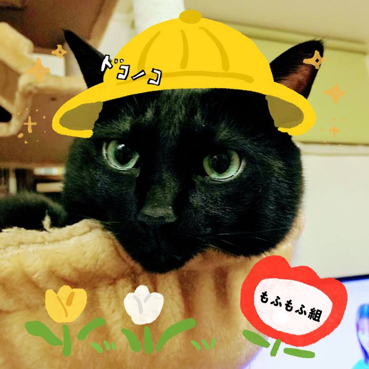 Ded493dd f0e9 4411 9cda e859d2cb08e5 1712240784432