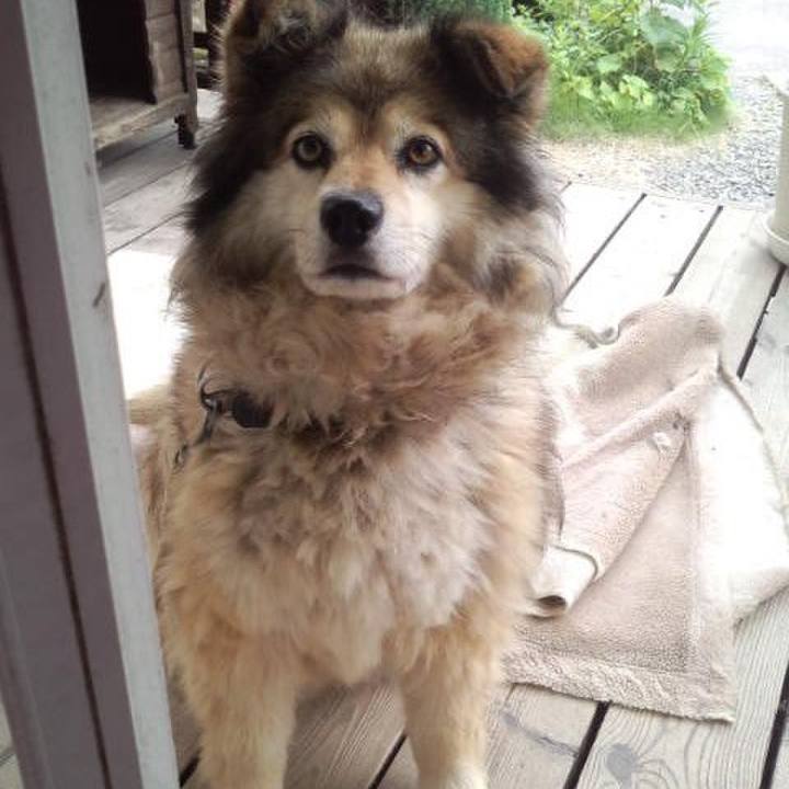 Ded4b07a f4fa 4a64 9028 b8a33ad1ee72 1613449691530