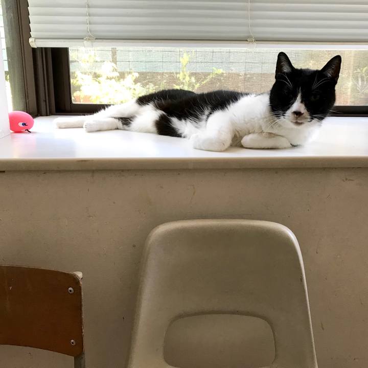 Ded4b2b5 171e 448d 91f7 6d730357da65 1558758095381