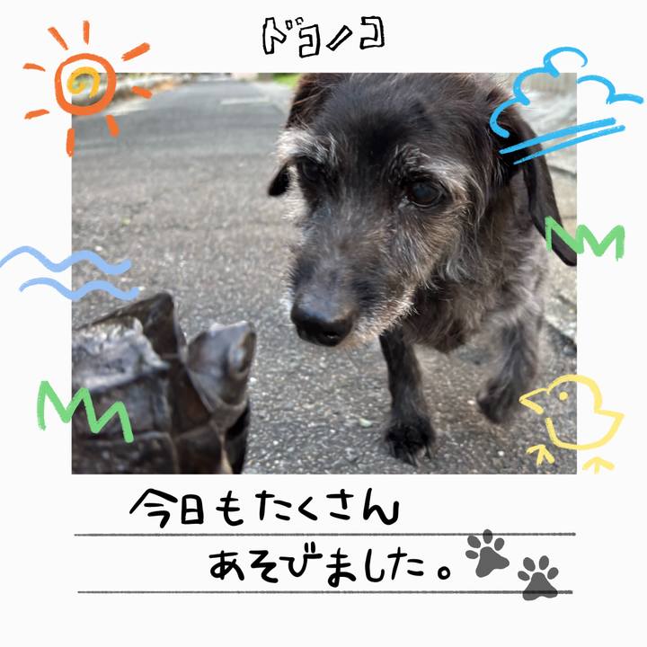 Ded50080 75c1 4e6a 8515 240e746fddbb 1755125835221