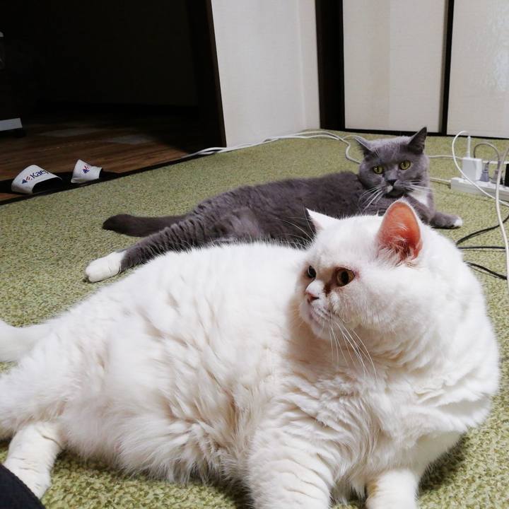 Ded50a28 7289 4a98 8ce1 fe1b88ff26fd 1752614804319