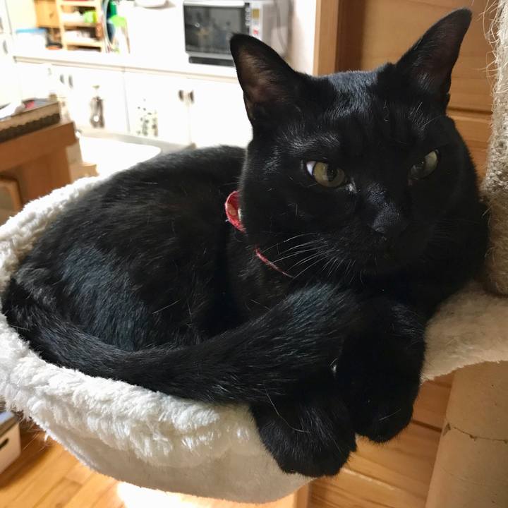 Ded5130b f845 4512 aee4 192401bdc38a 1524226417134