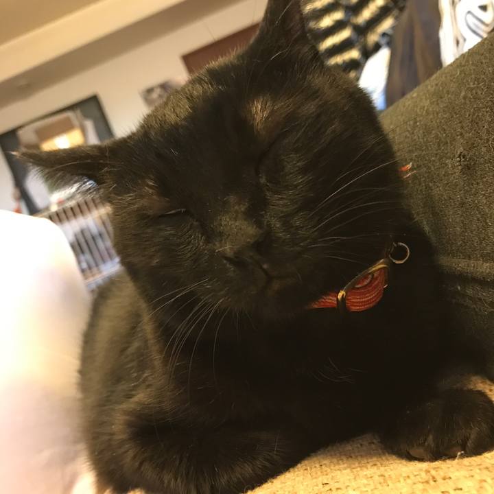 Ded5264f 7c03 4cda 818b 78dba4f9227a 1541918985564