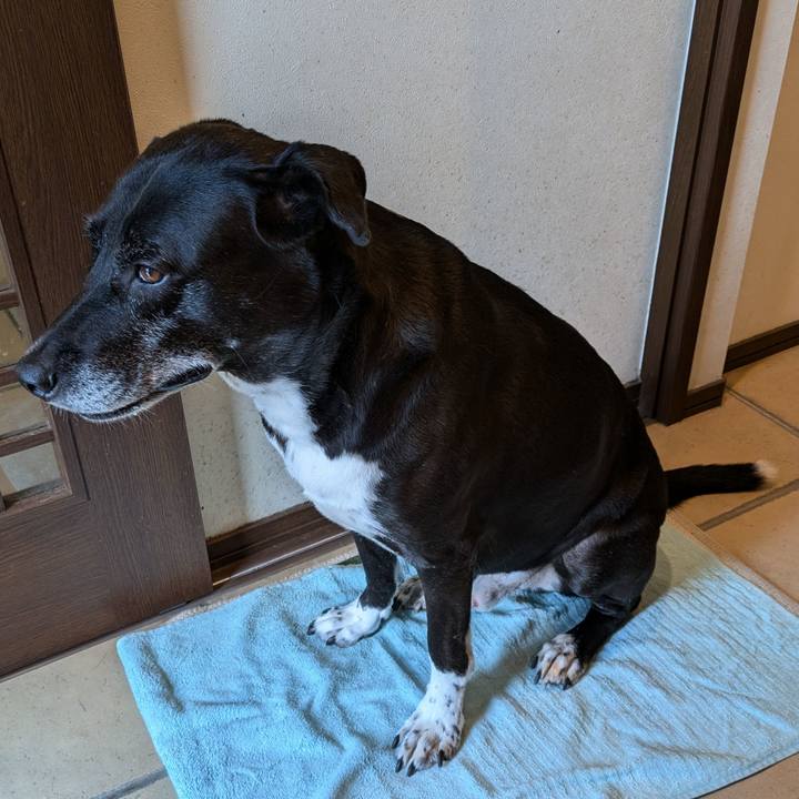 Ded533bb 68b6 4fe2 8e1d dff05bf186f6 1728692604356