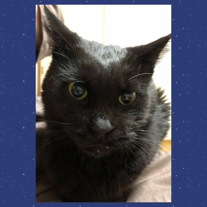 Ded53eaf dbe4 41fd 836a 34baae55d9d9 1641042591183