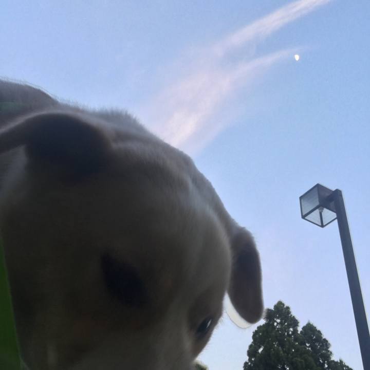 Ded54764 66b9 4f75 9368 242d3eb636b4 1529581638871