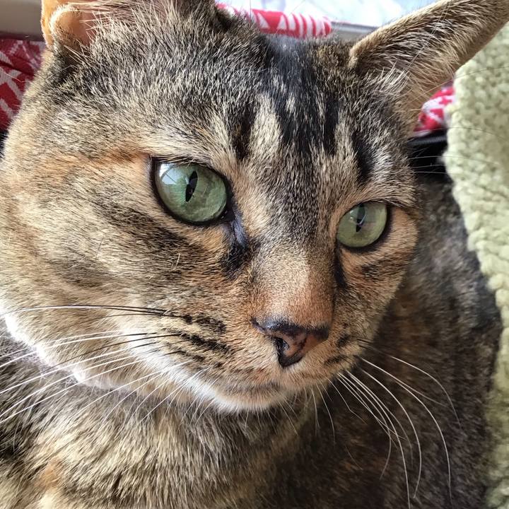 Ded555ee d412 40a7 9f9c 4147f12d8125 1712820452546