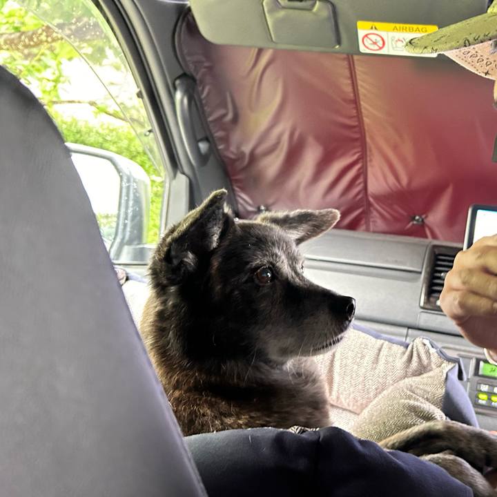 Ded5562a d536 4528 ace3 aa4acf578b3b 1718840967360