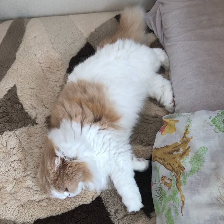 Ded583ac a8ab 446d 9323 20c2103d174a 1668302516305