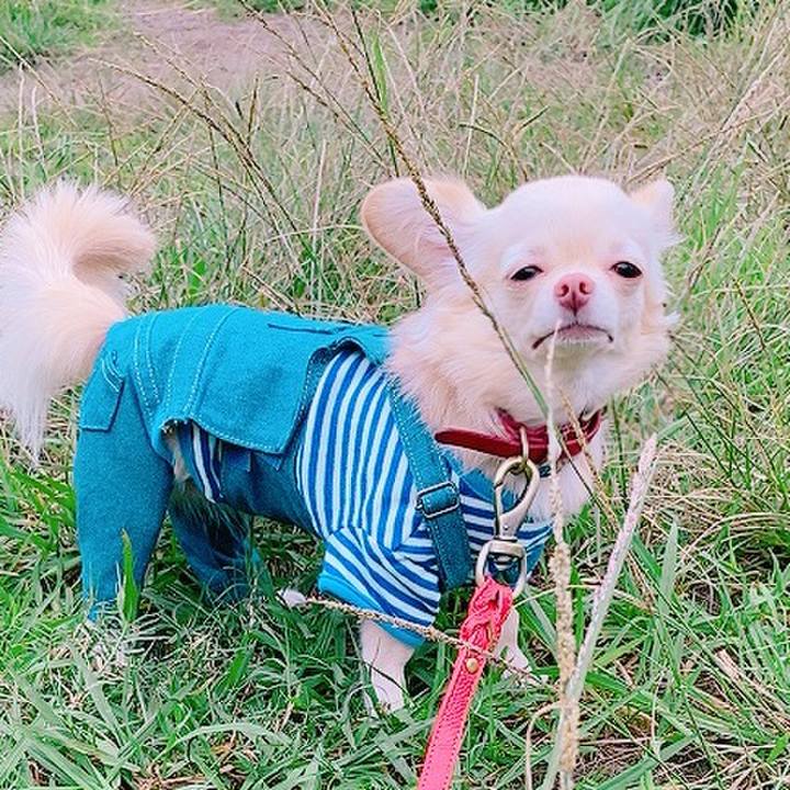 Ded58fd0 acab 4619 936a 2b99b14c2286 1631869411368