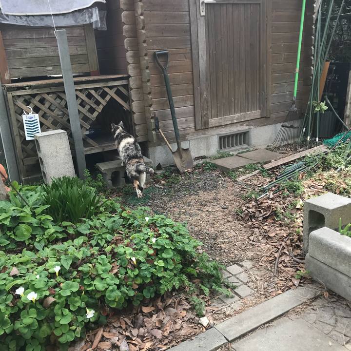 Ded5b474 a388 4bde 9d42 8f3771a2c067 1520834753800