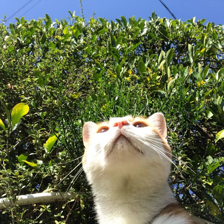 Ded5ba55 8bb0 4995 846d 96b78890fe76 1509678058733