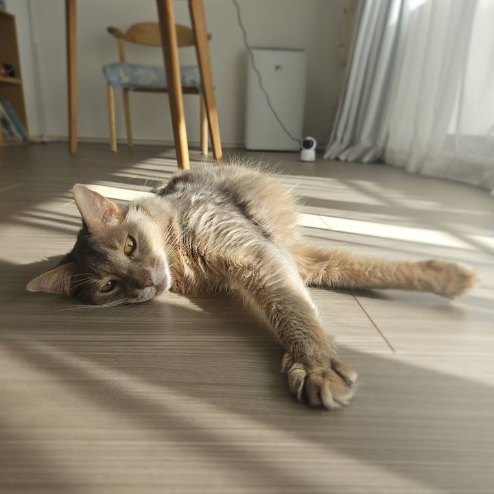 Ded5ccf9 39c2 48b4 b007 8a4fc7307729 1769050837487